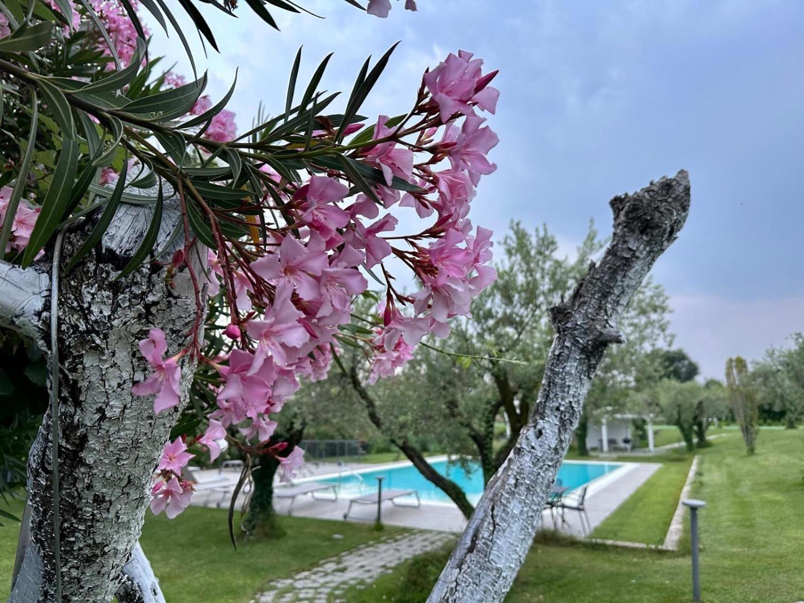 מנרבה דל גארדה Villa Athena Charme מראה חיצוני תמונה